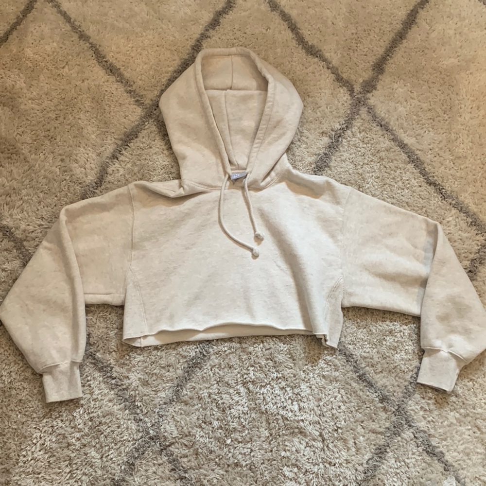 Aritzia cropped sweatshirt